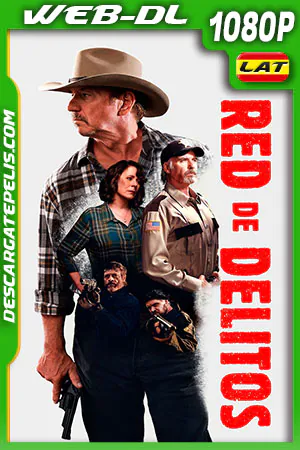 Red de Delitos 2017 ES EN